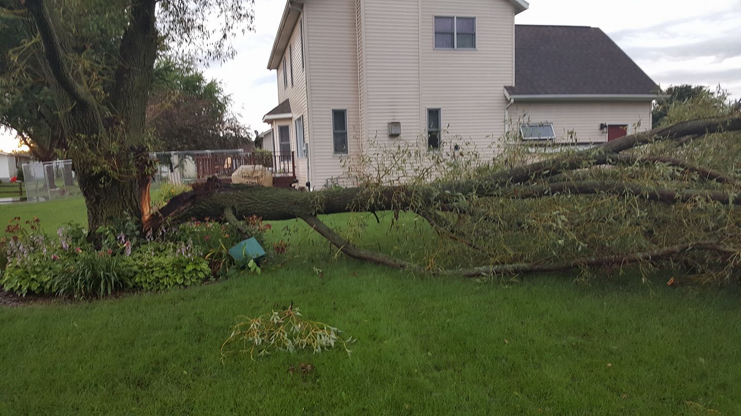 Bangor storm damage